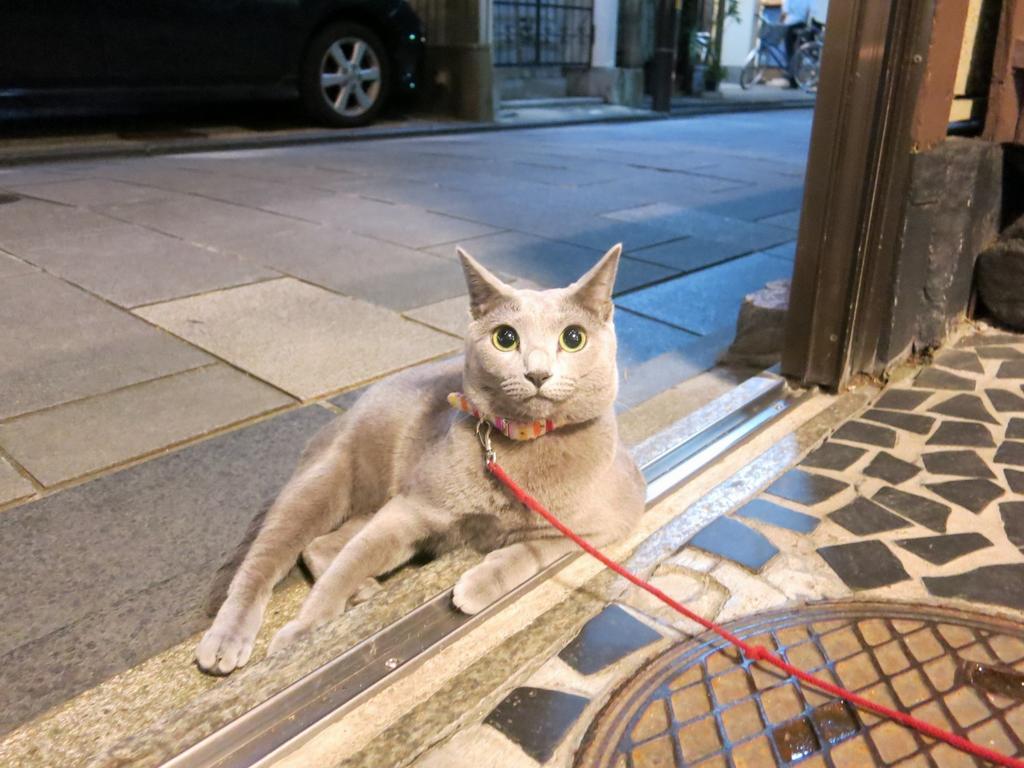 Fujiya Ryokan Kyoto Dış mekan fotoğraf